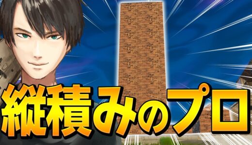 プロの練習試合で「一生崩せない縦積み」を作り出して勝ちに行くネフトリオ【フォートナイト/Fortnite】
