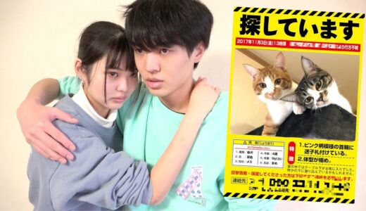 愛猫のテトリンが脱走して行方不明になりました。生きて帰ってきて