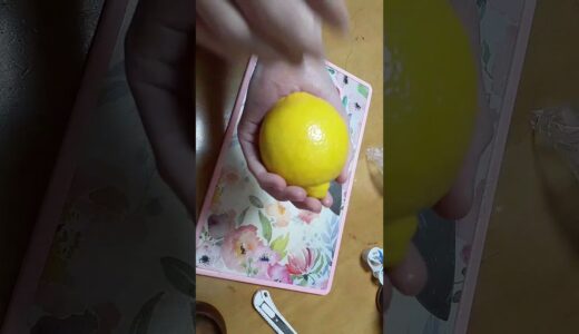 桐崎栄二さんが紹介してた「0円カルピス」作ってみた！！！！！