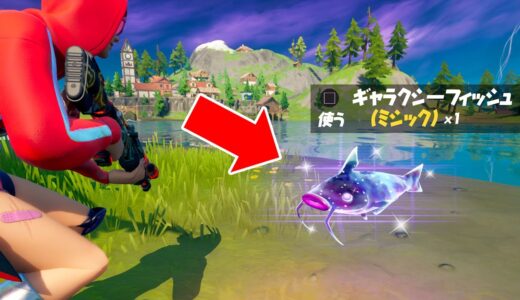 伝説の「ギャラクシー魚」を使ったら...【フォートナイト】