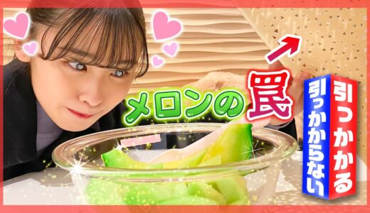 【モニタリング】大好きなメロンで罠を仕掛けたら、もかは引っ掛かる？🥺（ドッキリ）