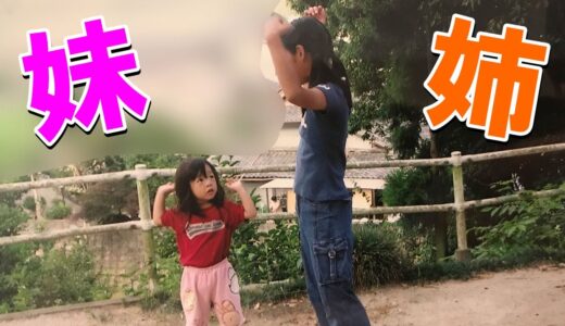 またまた実のお姉ちゃんと動画撮りました【フォートナイト】