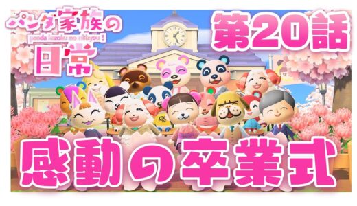【あつ森】パンダ家族の日常＃20「感動の卒業式」