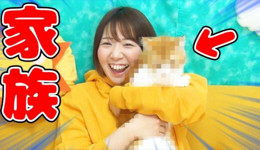 大切な家族を紹介します【猫 cat】
