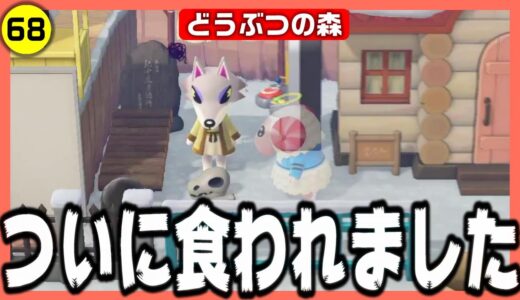 【あつ森】シベリアついに...ちゃちゃまるを食してしまう【どうぶつの森】【アテレコ】【モニタリング】