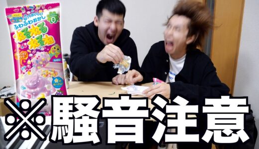 【閲覧注意】100デシベル以上でねるねるねるね作ったら日本1うるさい動画になったwwwwww