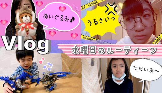 ★Vlog★水曜日のルーティーン♪学校終わって英会話の日