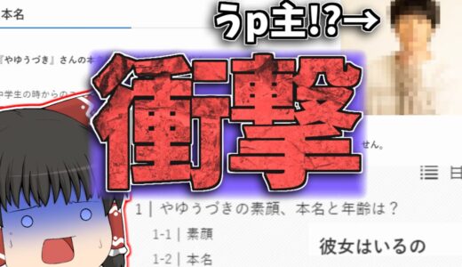 【衝撃】とあるサイトでやゆうづきの素顔や本名が！？【ゆっくり茶番】