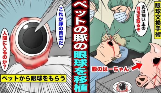 【漫画】溺愛していたペットの豚の眼球を自分に移植した男「これで俺の目が見えるようになる…」ペットの豚の眼球を自分に移植した男の末路・・・