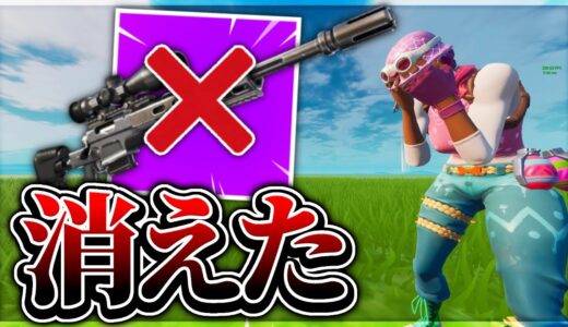 【悲報】僕の相棒