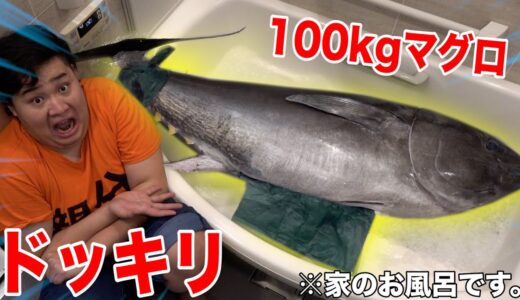 【ドッキリ】自宅のお風呂に100kgのマグロ泳いでるドッキリwww【本物】