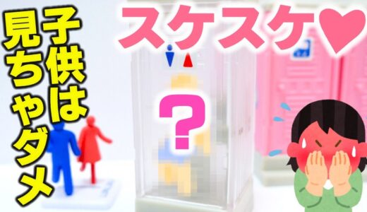【ガチャガチャ】子供は見ちゃダメ！男女スケスケ！セクシーなミニチュアがヤバすぎた【ガチャガチャの森】miniature