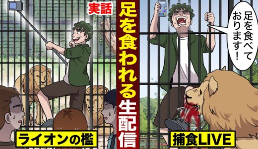 【実話】ライオンの檻で生配信...捕食シーンをLIVE。「足を食べております！」