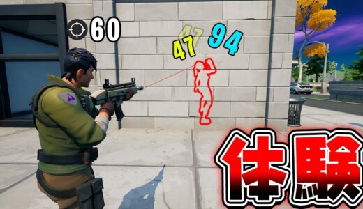 チートを体験してみた【フォートナイト】