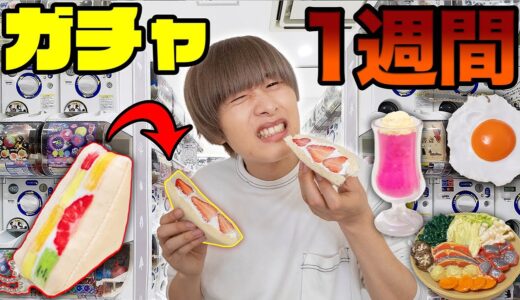 ガチャで獲ったものしか食べれない！何が出るか運まかせ1週間生活が超過酷！【ガチャガチャの森】