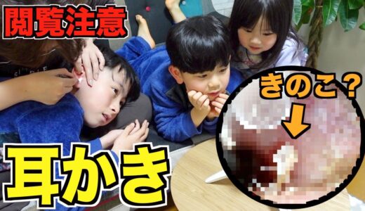 【閲覧注意】カメラ付耳かきで子供たち全員耳そうじしたらいろんなものが出てきた＞＜
