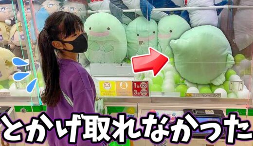 ののはクレーンゲームのとかげが欲しいのに取れませんでした。