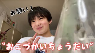 【検証】「おこづかいちょうだい！」いくらくれる？？