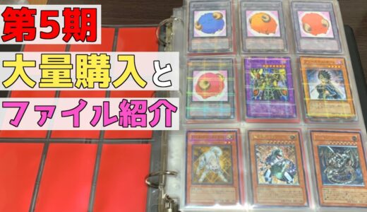 【遊戯王】第５期 購入品とファイル紹介【コンプ目指す】