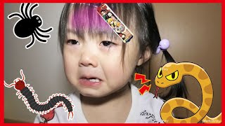 【寸劇】助けて＞＜ねずこちゃん！赤ちゃんがクモに襲われた！ばんそうこ貼って❢The boo boo story　鬼滅の刃ばんそうこを手作りしよう　お世話ごっこ　教育 寸劇　あゆくる