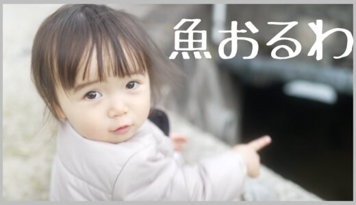 魚が気になる桐乃