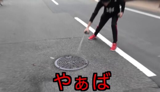 大阪のマンホールにゴキブリジェットかけるとゴキブリ大量に出てきたwww |New
