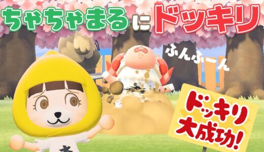 【あつ森アニメ】ちゃちゃまるにドッキリしかけたら、ドッキリ返された！【ちにゃちゃちゃYouTube】