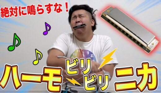 絶対にならしてはいけないビリビリハーモニカがめちゃめちゃ面白かった！Attack on Biribiri harmonica