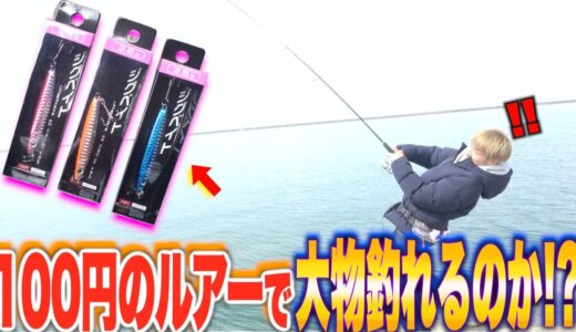 【調査】100円のルアーでも魚がたくさん釣れるのか！？