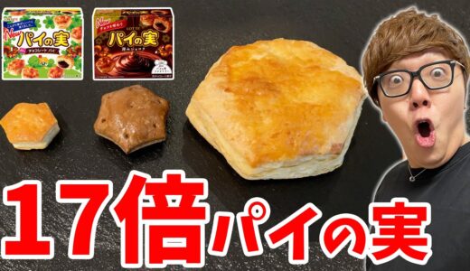 ロッテ パイの実 3倍と17倍比較したらデカすぎワロタwww【３倍が激レア】