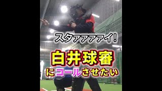 白井球審にストライクコールさせたい#shorts