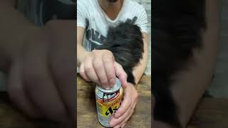 【新発売】アサヒスーパードライ生ジョッキ缶を愛犬のん(シープー)と呑ん杯🍻