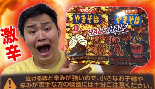 【大食い】辛さ嫌いが超大盛り獄激辛HALF&HALF食べたらぶっ壊れたwww
