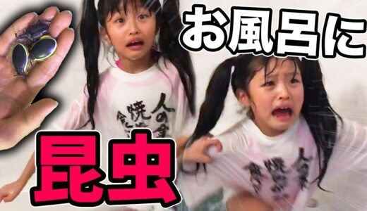 【ドッキリ】泡風呂の中から虫が出てきたら・・・！？昆虫バスボール【ここのの】