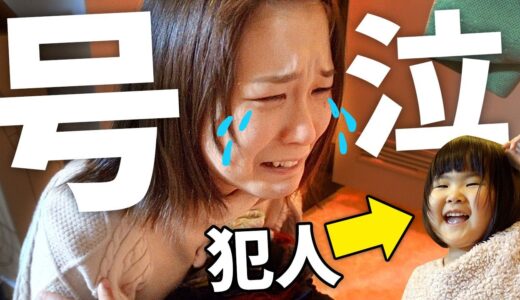 【嫁号泣】３歳児がついにやらかした。３歳児パパのリアルな１日【Vlog】