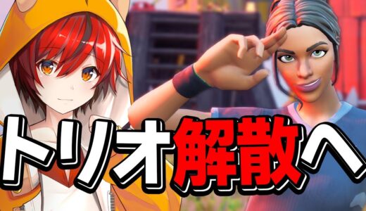 【お知らせ】シーズン5トリオは解散、そして新たな挑戦をするはむっぴです【フォートナイト/Fortnite】