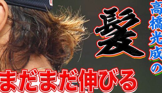 【伸びる直球と後ろ髪】高橋光成 7回1失点で『無傷の開幕5連勝』【安定感◎】