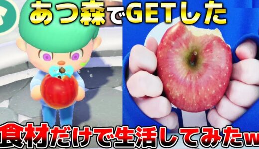 24時間あつ森の中でGETした食べ物しか食べれない縛りが過酷すぎたwww【あつまれどうぶつの森】