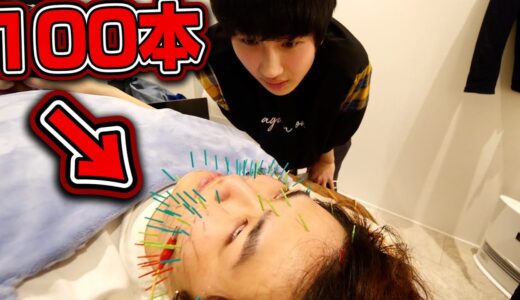 針恐怖症の兄に針100本刺してみた