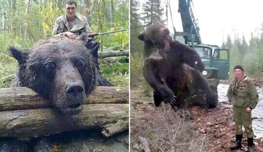 捕獲された巨大生物トップ3０