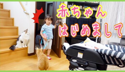 【大興奮🎉】ゆうひなと赤ちゃんが念願の初対面！👶❤️【サプライズドッキリ】