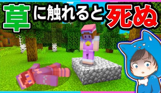 草ブロックに触れると死ぬ世界でサバイバルが難しすぎる!!【マイクラ/まいくら】