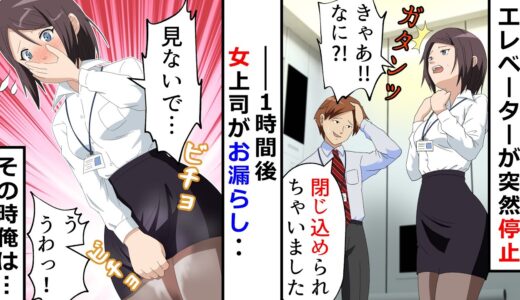 女上司とエレベータに閉じ込められて漏らしてしまった彼女→そのとき俺は…【スカッとするライン】