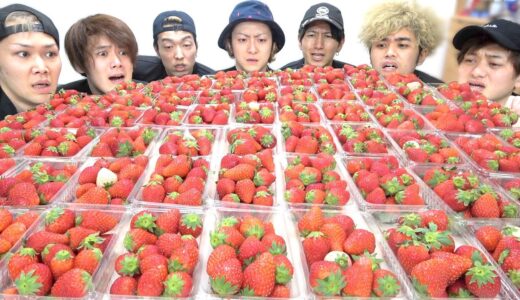 いちご1000個食べるまで終わりません。