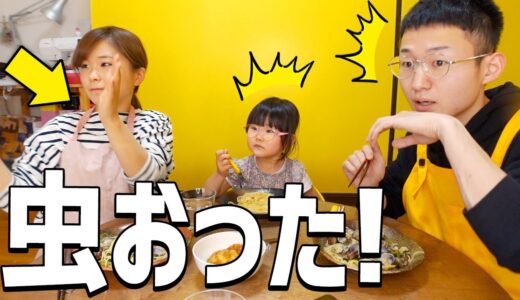 食事中に虫を瞬殺する嫁がやばすぎた【ぐっぴんさんちの食卓】