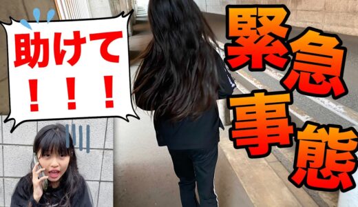 【緊急事態】「助けて…」双子の妹から緊急の電話がかかってきて…【感動】