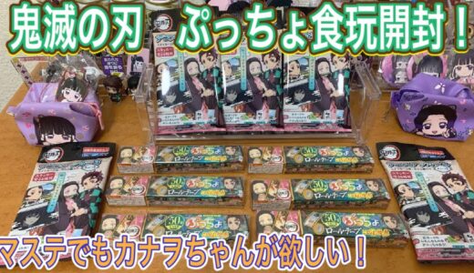 【鬼滅の刃】ぷっちょロールテープとデコステッカー３を開封！マステでもカナヲちゃんが欲しい！【グッズ開封】【きめつのやいば】【ココちゃんねる】