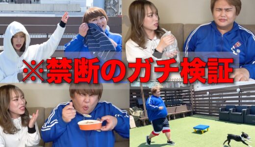 案件の化粧下地を崩していいと許可をもらっちゃいました