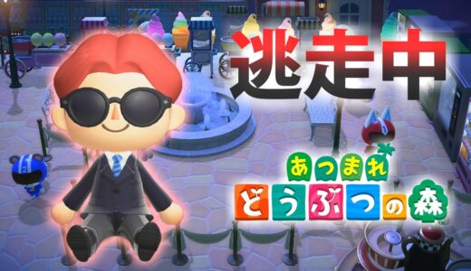 【あつ森】逃走中を森でやってみた 迷路メーデー編 inチョコミン島【実況】あつまれどうぶつの森