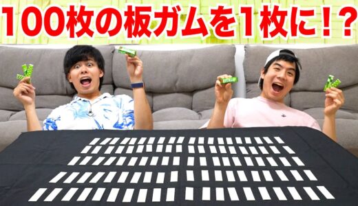 100枚の板ガムを使って超巨大ガムを作ったらデカすぎたｗｗｗ
